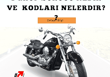 1 grup sürücü nedir ve  kodları nelerdir ?